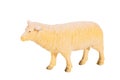 Plastic toy sheep on white isolated background