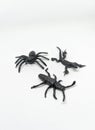 Plastic toys in the form of lizards, beetles and spiders on a white background