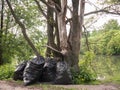 Plastic trash bags under forest tree near small pound