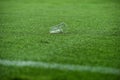 Plastic trash on the turf on a soccer field Royalty Free Stock Photo