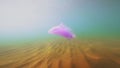 Plastic trash drifts slowly under the surface of the blue water next to the sandy bottom. Purple plastic bag. Massive