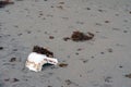 Plastic trash on a remote beach of the Arctic Ocean Royalty Free Stock Photo