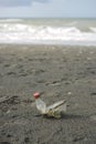 Plastic trash stranded on a Mediterranean beach