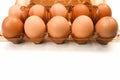 Plastic tray with chicken eggs, on isolated white background Royalty Free Stock Photo