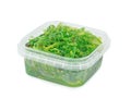 A plastic tub of fresh wakame seaweed Royalty Free Stock Photo