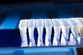 Plastic tubes for DNA amplification Royalty Free Stock Photo