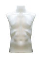 Plastic upper body male mannequin unclothed isolated on white background with clipping path Royalty Free Stock Photo