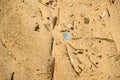 Plastic waste on a beach,, blue lid Royalty Free Stock Photo