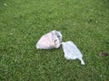 plastic waste lying on green grass used for food that has been thrown away carelessly