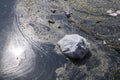 Plastic waste polluting into nature. rubbish bag floating on water