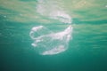 Plastic waste underwater, a plastic bag in the Mediterranean sea between water surface and a sandy seabed Royalty Free Stock Photo