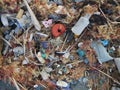 Plastic waste washed on the shore of the atlantic ocean in northern spain mixed together with organic beach goods