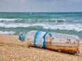 A plastic water bottle with attached shellfish washed up on a tropical beach.