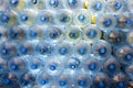 Plastic water bottle background, blue bottle caps, orderly arrangement. Empty bottles for drinking water. Heap of empty plastic dr