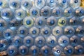 Plastic water bottle background, blue bottle caps, orderly arrangement. Empty bottles for drinking water. Heap of empty plastic dr