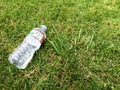 Plastic water bottle close up on green grass nature environment concept