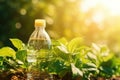 Plastic Water Bottle Dripping, Hot Summer Day on Blurred Rustic Harvest Background, Sun Shines