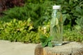 Plastic water bottle with mint leaves and lime slices. refreshing summer drink Royalty Free Stock Photo