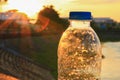 Plastic water bottle on the stone floor in a public park at sunset, sunrise time Royalty Free Stock Photo