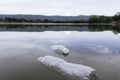 Plastic water bottles pollution in the river. Plastic trash in water. Environmental pollution concept Royalty Free Stock Photo