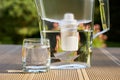 Plastic water filter pitcher and a clean glass of a clear water close up on the summer garden background Royalty Free Stock Photo