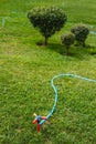 Plastic Water Pipe and Sprinkler on Green Grass Royalty Free Stock Photo