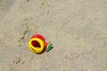 Plastic watering can, children`s beach toy. Summer concept Royalty Free Stock Photo