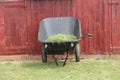 Plastic Wheelbarrow with Grass. Royalty Free Stock Photo