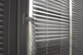 Plastic window with blinds