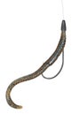 Plastic worm with hook and weight rigged weedless Royalty Free Stock Photo