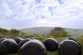 Plastic wrapped bales and windmills in tipperary