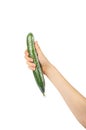 Plastic Wrapped Cucumber, Vegetable in Film Packaging, Film Wrap Food, Eat Plastic Concept Royalty Free Stock Photo