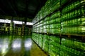 Plastic wrapped bottles in factory warehouse Royalty Free Stock Photo