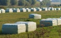 Plastic wrapped hay bales Royalty Free Stock Photo
