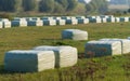 Plastic wrapped hay bales