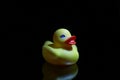 Plastic yellow duck toy Royalty Free Stock Photo