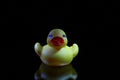 Plastic yellow duck toy Royalty Free Stock Photo