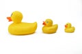 Plastic yellow duck toy Royalty Free Stock Photo