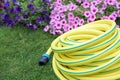 Plastic yellow rolled up hose pipe with connector on the grass Royalty Free Stock Photo