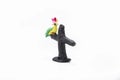 Plasticine artwork. Handmade parrot. Abstract isolated photo