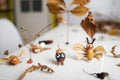Plasticine craft for kids. clay insects.