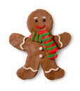Plasticine figure of gingerbread man