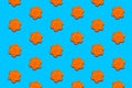 Plasticine flowers, orange flowers on a blue background, play with plasticine or colored clay