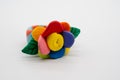 Plasticine Hand Made Flowers. Flowers made of clay isolated on w