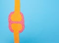 Plasticine knee joint on a blue background. The concept of diseases and inflammation of the joints. Arthrosis of the joint and