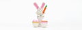 Plasticine Rabbit with easter egg and carrot. Horizontal long background Royalty Free Stock Photo