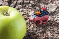 Plasticine small homemade hedgehog sitting on tree trunk. Royalty Free Stock Photo