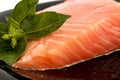 The plate with appetizing salmon and the sprig of basil Royalty Free Stock Photo