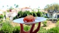 Plate with appetizing Spanish jamon against of Spanish landscape, palm trees, white houses, tasty Jamon offer