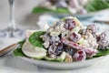 Plate of Apple Walnut and Spinach Waldorf Salad Royalty Free Stock Photo